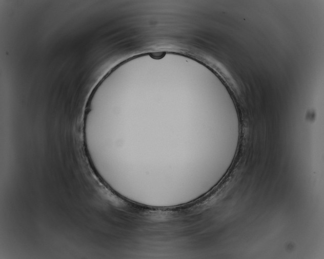 X0000100751236200807171404
