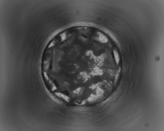 X0000100751237200807171404
