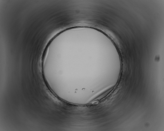 X0000100751238200807171404