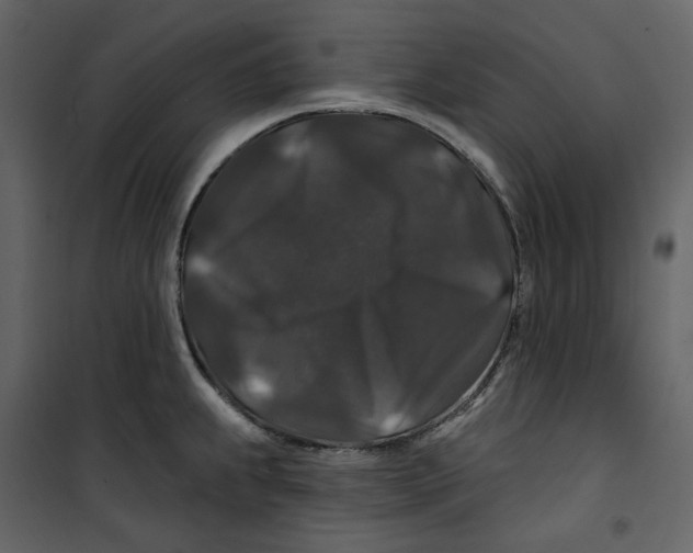 X0000100751239200807171404