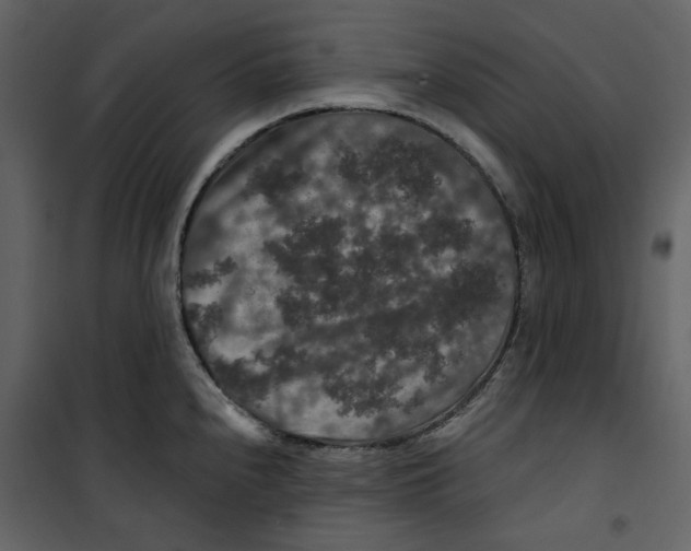 X0000100751240200807171404