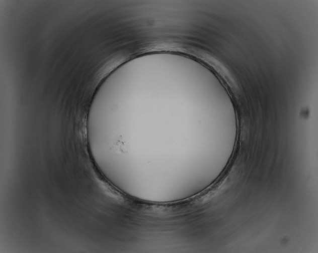 X0000100751241200807171404