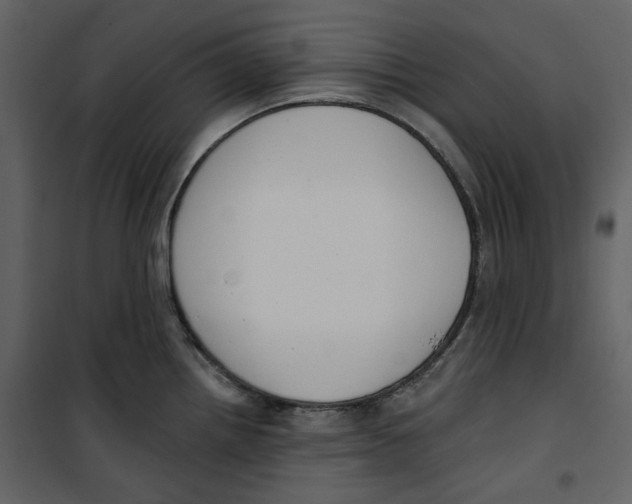 X0000100751242200807171404