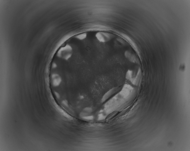 X0000100751243200807171404
