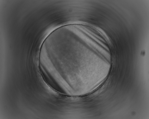 X0000100751244200807171404