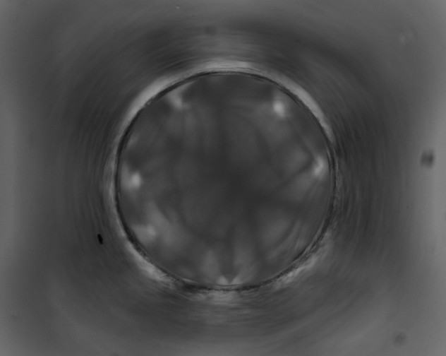 X0000100751245200807171404