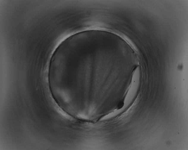 X0000100751246200807171404
