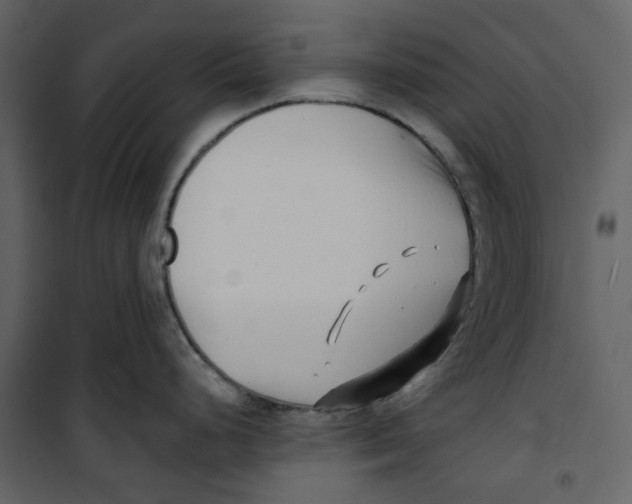X0000100751248200807171404