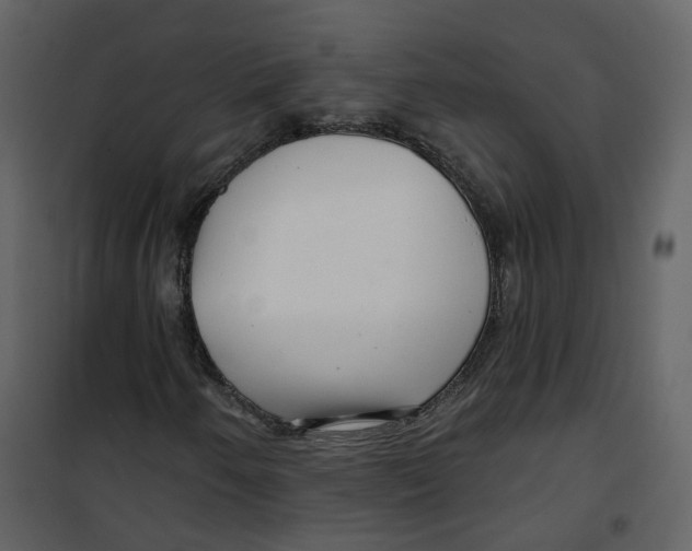 X0000100751250200807171403