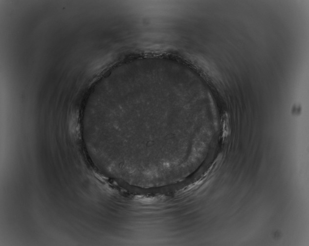 X0000100751252200807171403