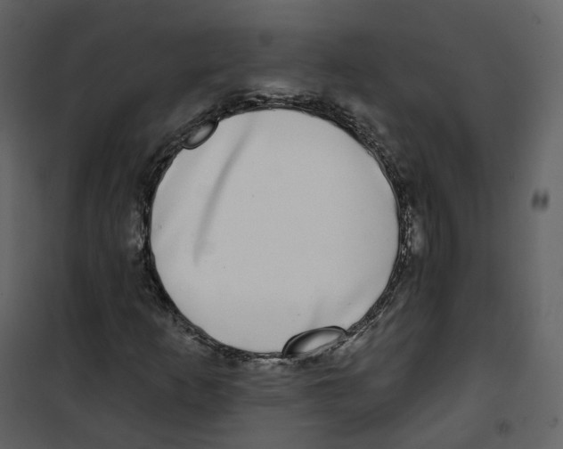 X0000100751253200807171403