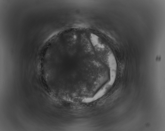 X0000100751254200807171403