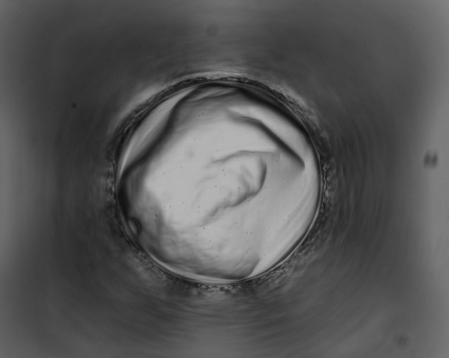 X0000100751255200807171403