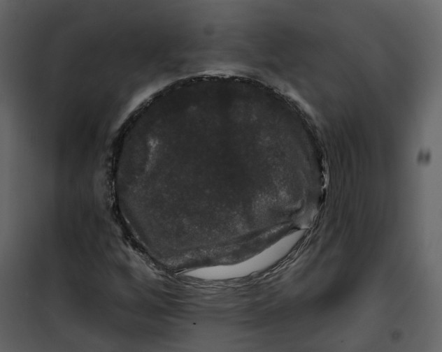 X0000100751256200807171403