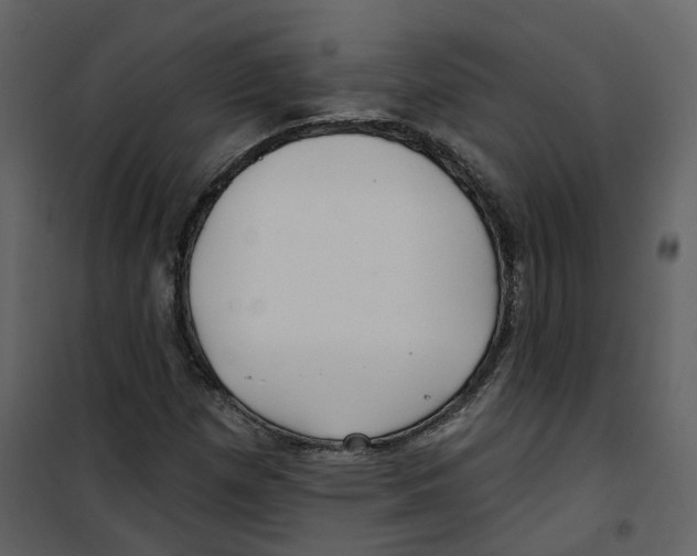 X0000100751257200807171403