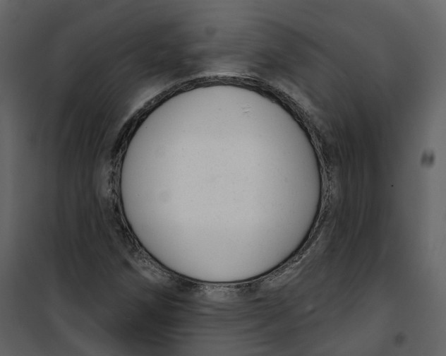 X0000100751258200807171403