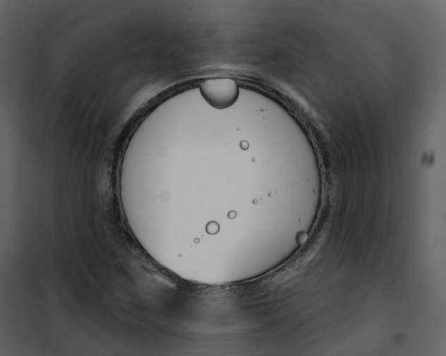 X0000100751259200807171403