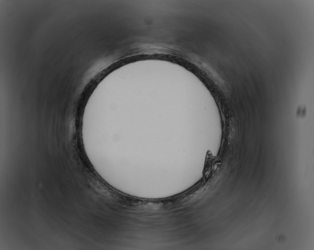 X0000100751261200807171403