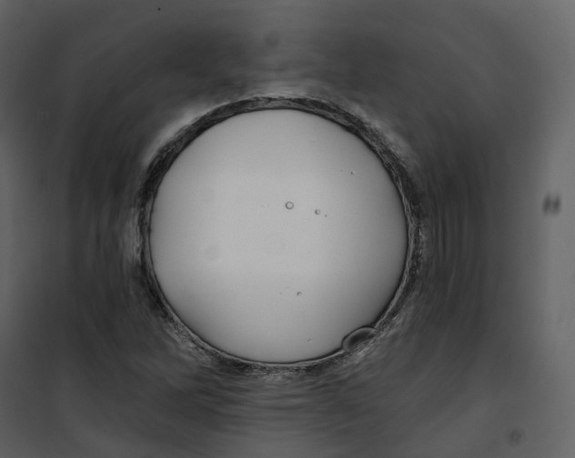 X0000100751262200807171403