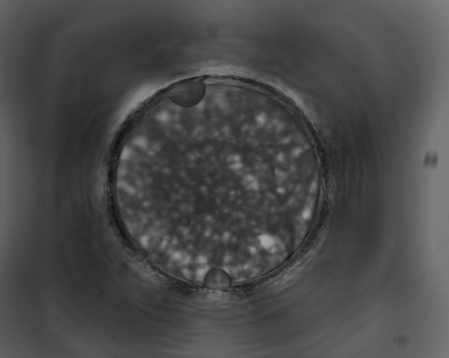 X0000100751263200807171403