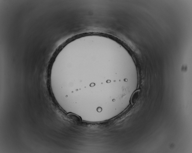 X0000100751264200807171403