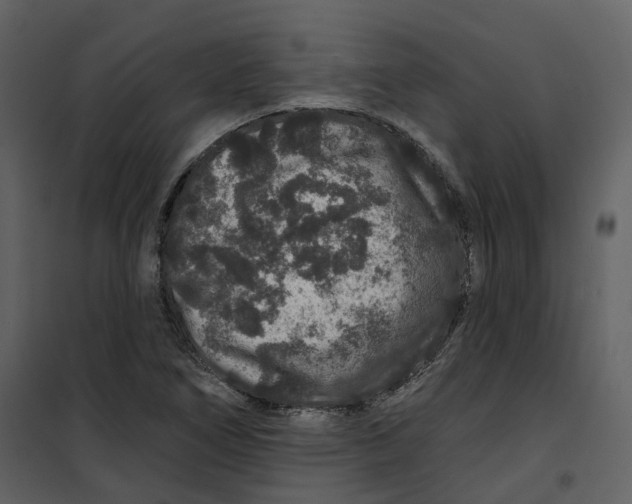 X0000100751266200807171403