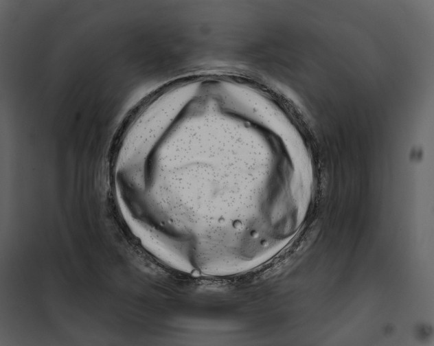 X0000100751267200807171403