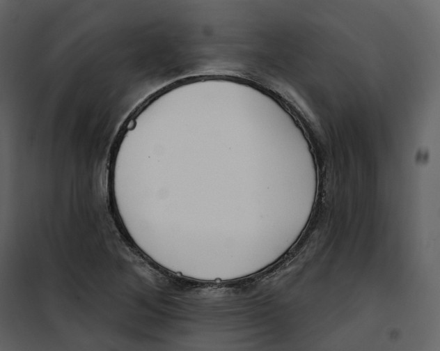 X0000100751268200807171403