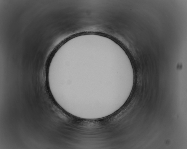 X0000100751270200807171403