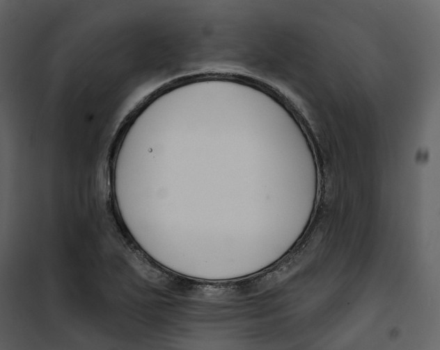 X0000100751271200807171403