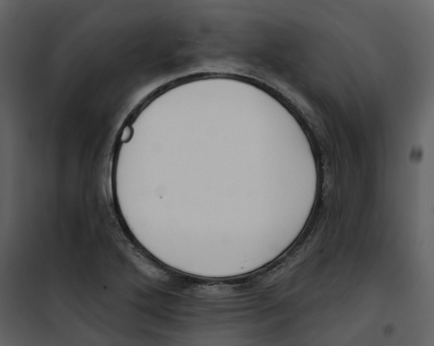 X0000100751272200807171403