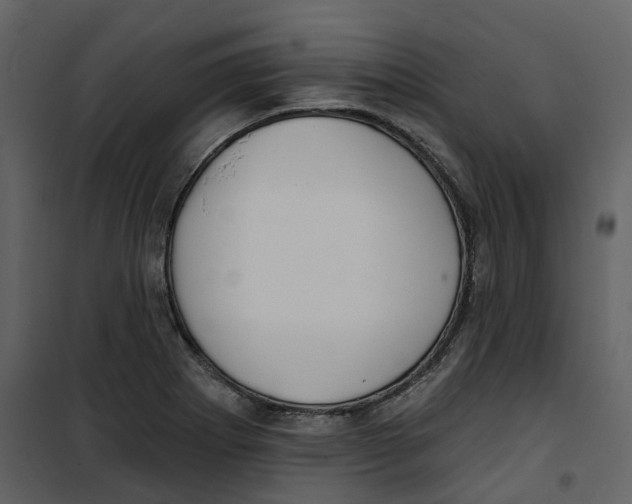 X0000100751273200807171403