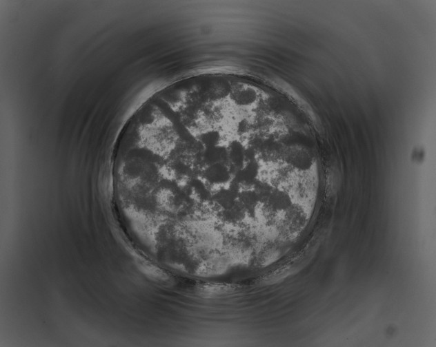 X0000100751274200807171402