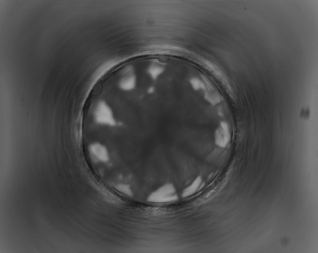 X0000100751275200807171402