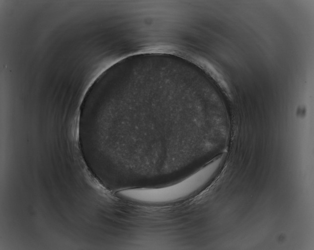 X0000100751276200807171402