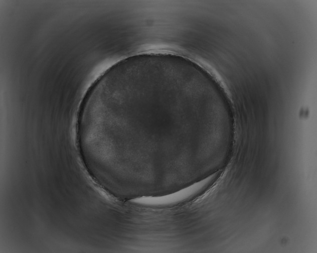 X0000100751277200807171402