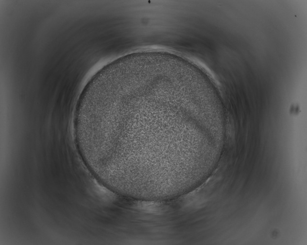 X0000100751278200807171402