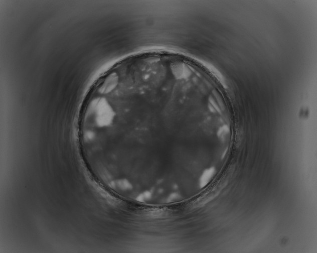 X0000100751279200807171402