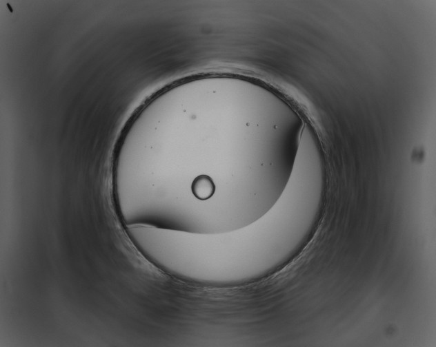 X0000100751280200807171402