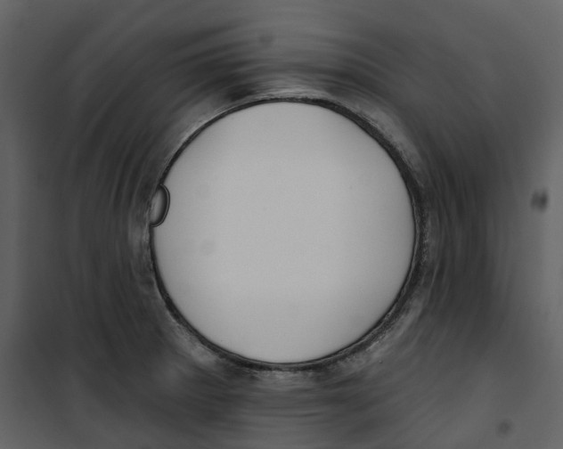 X0000100751281200807171402