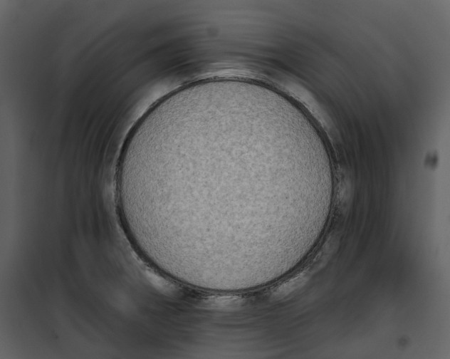 X0000100751282200807171402