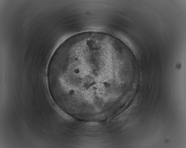 X0000100751283200807171402