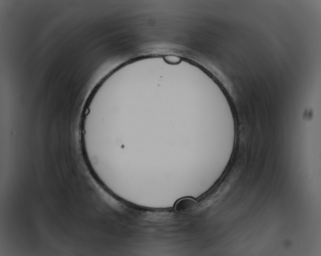 X0000100751285200807171402