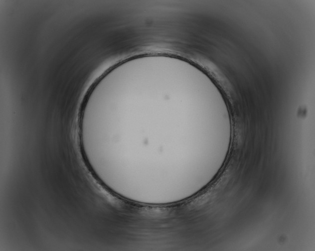 X0000100751286200807171402