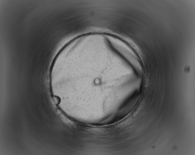 X0000100751287200807171402