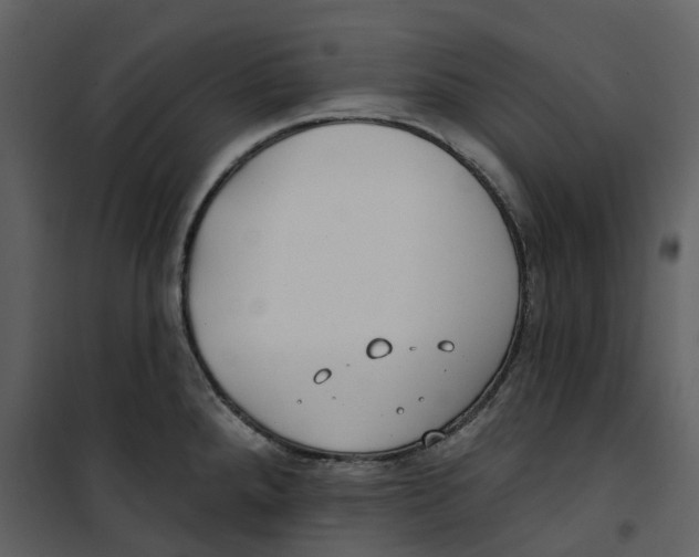 X0000100751288200807171402