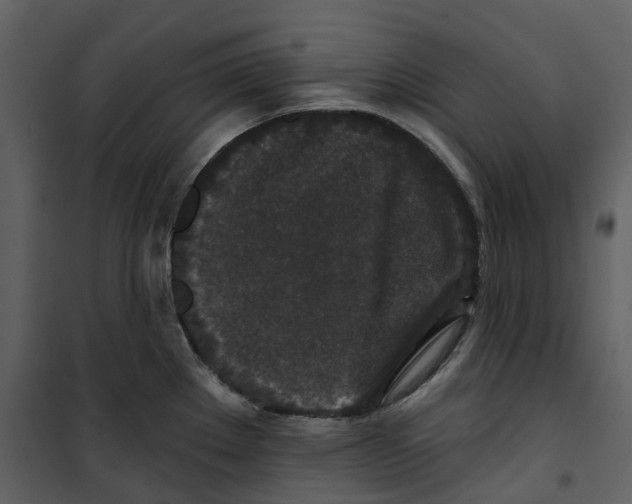 X0000100751289200807171402