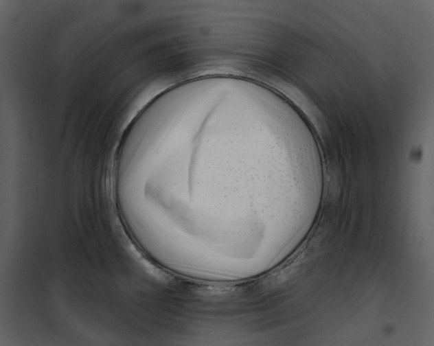 X0000100751290200807171402