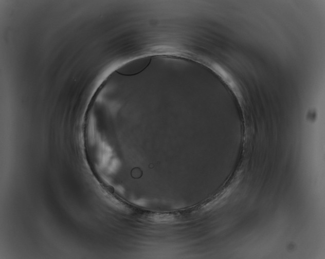 X0000100751291200807171402