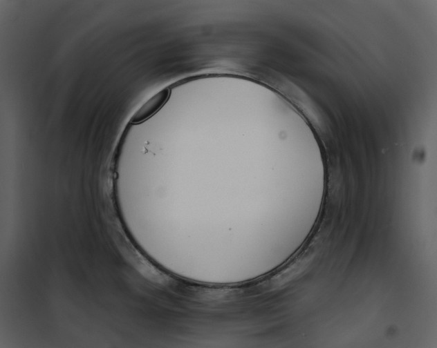 X0000100751292200807171402